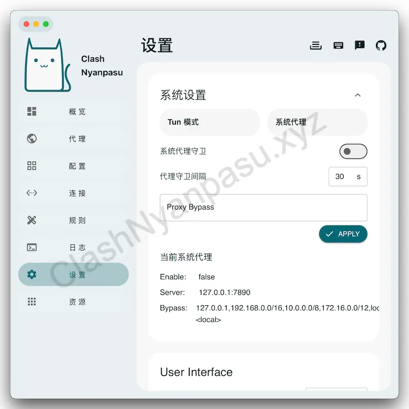 Clash Nyanpasu 系统设置